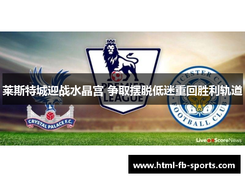 莱斯特城迎战水晶宫 争取摆脱低迷重回胜利轨道